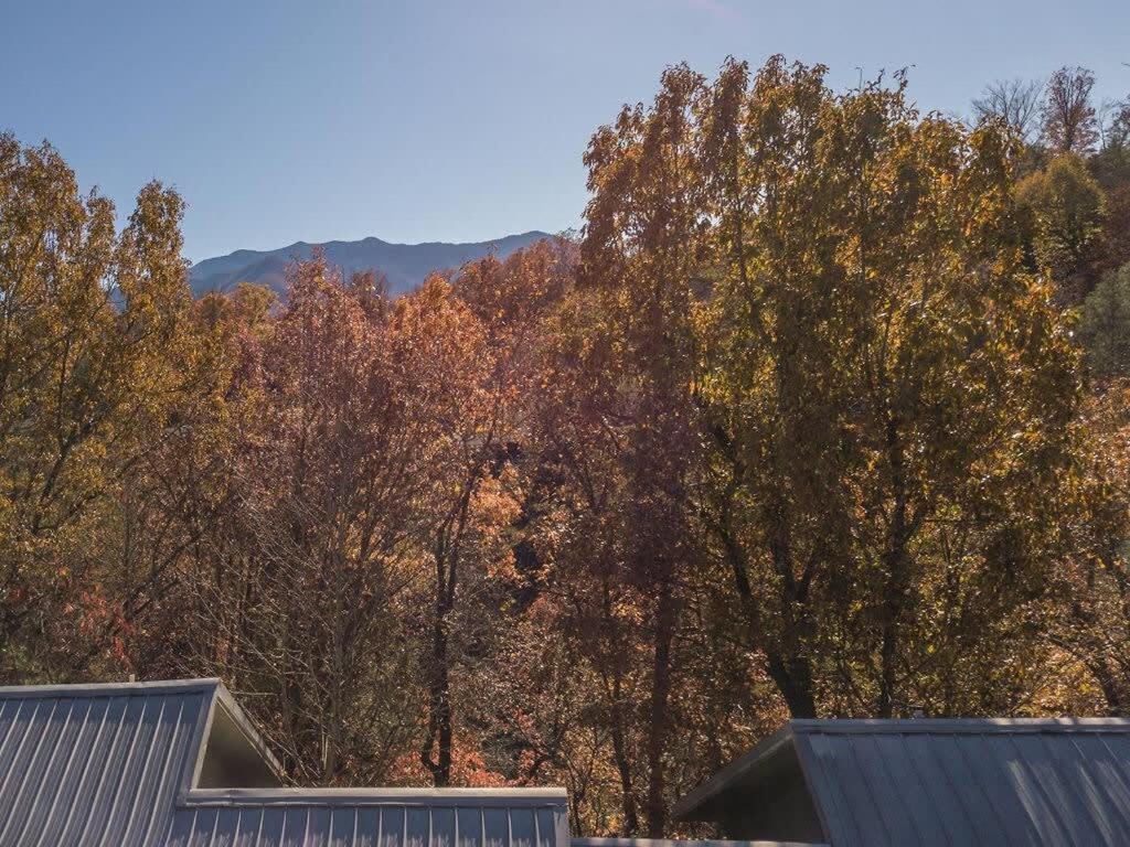 Sasquatch Lodge E Sleeps 13 Gatlinburg Exteriör bild